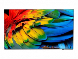 Close-up of a vibrant parrot’s red, yellow, green, and blue feathers displayed on a modern flat-screen hotel TV with a thin black bezel—ideal for hotels seeking high-quality televisions to enhance guest experiences.