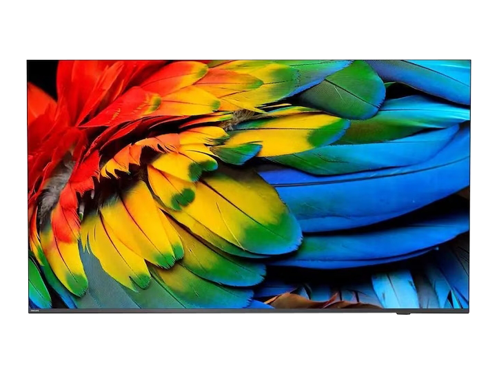 Close-up of a vibrant parrot’s red, yellow, green, and blue feathers displayed on a modern flat-screen hotel TV with a thin black bezel—ideal for hotels seeking high-quality televisions to enhance guest experiences.
