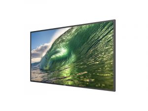 50 Inch Display - Philips 50BDL3650QE/00 (new) purchase
