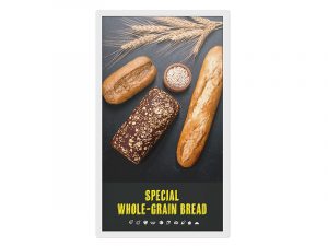 25 Inch E-Paper Display - NEC EP-C251 (new) purchase