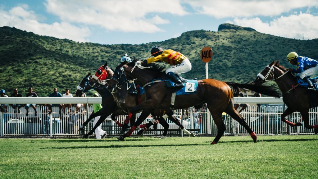 Drei Jockeys reiten ihre Rennpferde Seite an Seite auf einer grünen Galopprennbahn dem Ziel entgegen; im Hintergrund stehen Zuschauer und sanfte grüne Hügel. Jetzt Tickets für das nächste Pferderennen kaufen oder mieten und das spannende Rennen live erleben!.