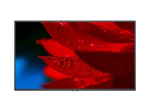 55 Zoll UHD Display - NEC MultiSync MA551 (Neuware) kaufen